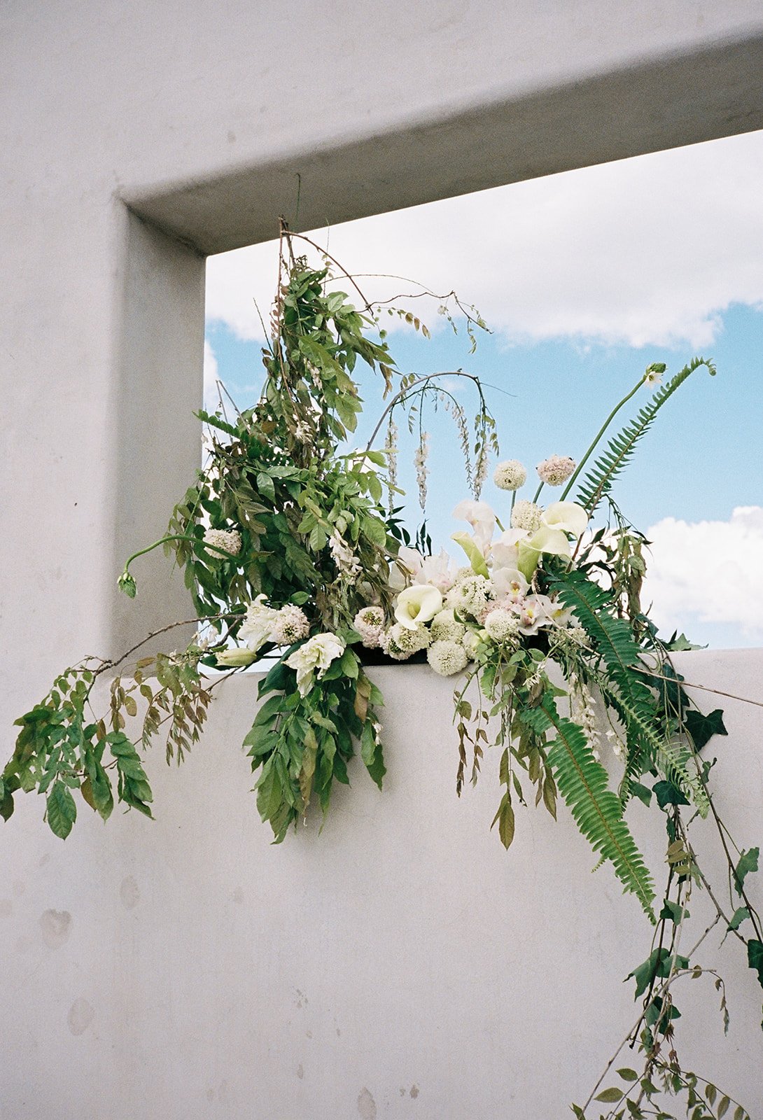 Erin & Luke-5.jpg